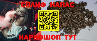 стаф Малгобек