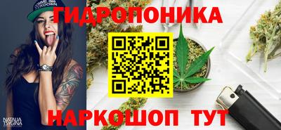 стаф Малгобек
